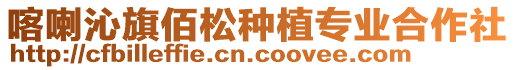 喀喇沁旗佰松種植專業合作社