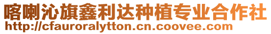 喀喇沁旗鑫利達種植專業合作社