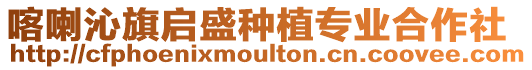 喀喇沁旗啟盛種植專業合作社
