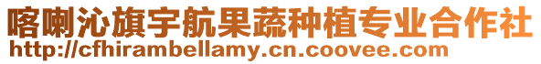 喀喇沁旗宇航果蔬種植專業合作社