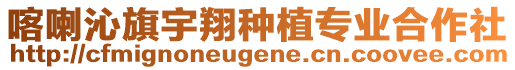 喀喇沁旗宇翔種植專業合作社