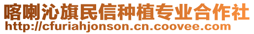 喀喇沁旗民信種植專業合作社