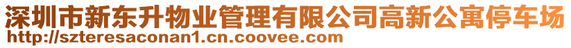 深圳市新東升物業(yè)管理有限公司高新公寓停車場