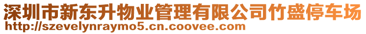 深圳市新東升物業管理有限公司竹盛停車場