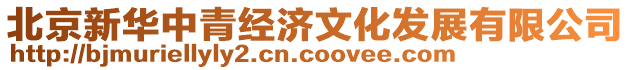 北京新華中青經(jīng)濟(jì)文化發(fā)展有限公司