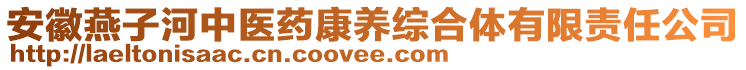 安徽燕子河中醫(yī)藥康養(yǎng)綜合體有限責(zé)任公司