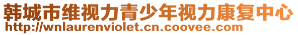 韓城市維視力青少年視力康復(fù)中心