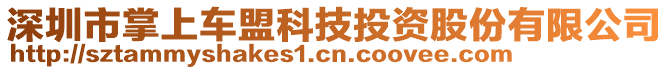 深圳市掌上車(chē)盟科技投資股份有限公司