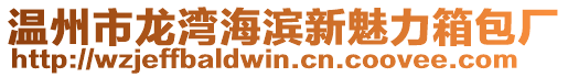 溫州市龍灣海濱新魅力箱包廠