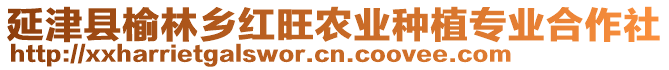 延津縣榆林鄉(xiāng)紅旺農(nóng)業(yè)種植專業(yè)合作社