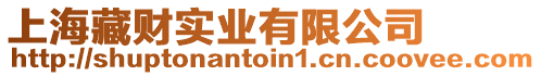 上海藏財(cái)實(shí)業(yè)有限公司