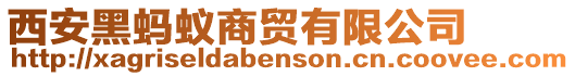 西安黑螞蟻商貿(mào)有限公司