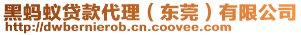 黑螞蟻貸款代理(東莞)有限公司