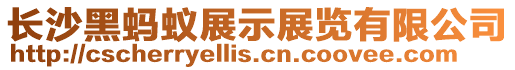 長沙黑螞蟻展示展覽有限公司