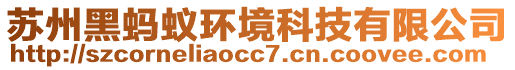 蘇州黑螞蟻環(huán)境科技有限公司