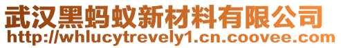 武漢黑螞蟻新材料有限公司