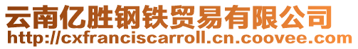 云南億勝鋼鐵貿易有限公司