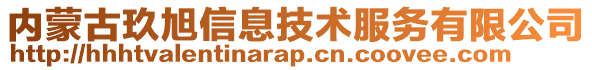 内蒙古玖旭信息技术服务有限公司