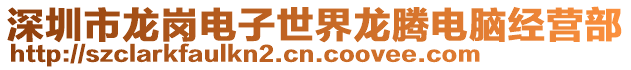 深圳市龍崗電子世界龍騰電腦經(jīng)營(yíng)部