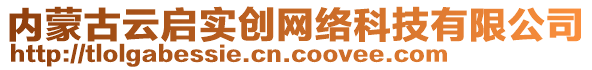 內(nèi)蒙古云啟實(shí)創(chuàng)網(wǎng)絡(luò)科技有限公司