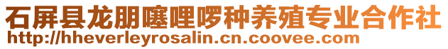 石屏縣龍朋噻哩啰種養(yǎng)殖專業(yè)合作社