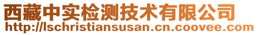 西藏中實檢測技術有限公司