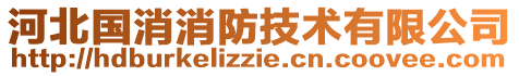 河北国消消防技术有限公司