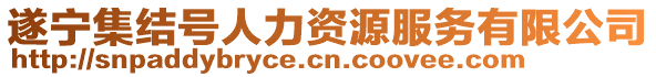 遂寧集結(jié)號(hào)人力資源服務(wù)有限公司