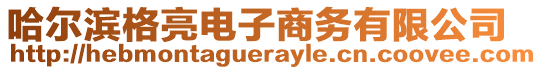 哈爾濱格亮電子商務(wù)有限公司