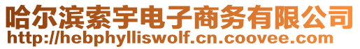 哈爾濱索宇電子商務(wù)有限公司