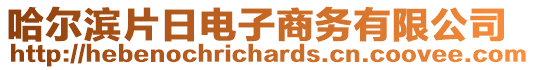 哈爾濱片日電子商務(wù)有限公司