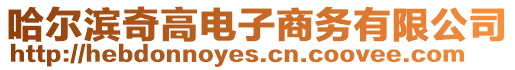 哈爾濱奇高電子商務(wù)有限公司