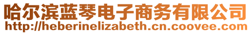 哈爾濱藍(lán)琴電子商務(wù)有限公司