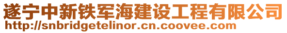 遂寧中新鐵軍海建設(shè)工程有限公司