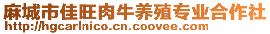 麻城市佳旺肉牛養(yǎng)殖專業(yè)合作社