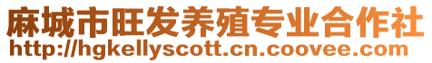 麻城市旺發(fā)養(yǎng)殖專業(yè)合作社