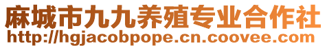 麻城市九九養(yǎng)殖專業(yè)合作社
