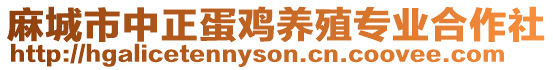 麻城市中正蛋雞養殖專業合作社