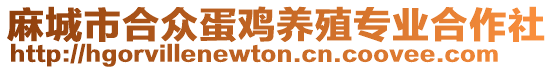 麻城市合众蛋鸡养殖专业合作社