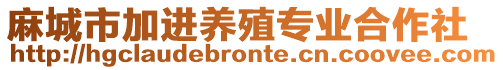 麻城市加進養殖專業合作社