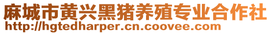 麻城市黄兴黑猪养殖专业合作社