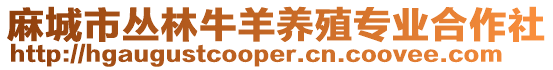 麻城市叢林牛羊養殖專業合作社