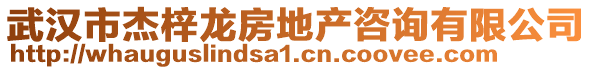 武漢市杰梓龍房地產咨詢有限公司