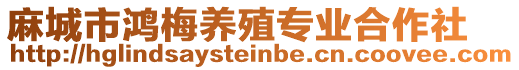 麻城市鴻梅養殖專業合作社