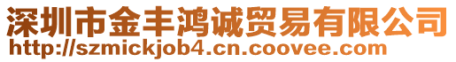 深圳市金豐鴻誠貿易有限公司