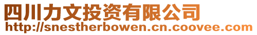 四川力文投資有限公司