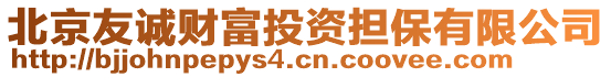 北京友誠財富投資擔保有限公司
