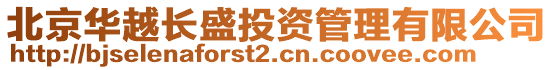 北京華越長盛投資管理有限公司
