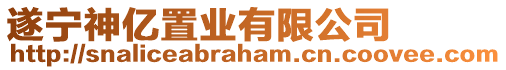 遂寧神億置業有限公司