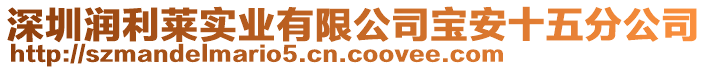 深圳潤利萊實業(yè)有限公司寶安十五分公司